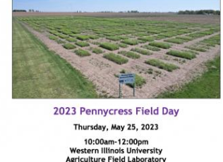 西伊利诺伊大学农业学校举办5月25日的Pennycress Field Day