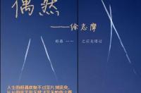 accidentally和occasionally都有偶然的意思 怎么区分 不要从网上摘录或者什么的。。谢谢。。。 occasionally