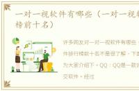 一对一视软件有哪些（一对一视软件排行榜前十名）