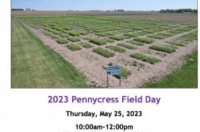 西伊利诺伊大学农业学校举办5月25日的Pennycress Field Day