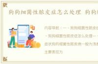 狗狗细菌性脓皮症怎么处理 狗狗脓皮症
