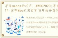 苹果macos的芯片，WWDC2020:苹果发布iOS14 宣布Mac采用自家芯片放弃英特尔芯片