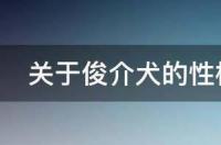 俊介这只狗狗是公的还是母的？太可爱了？ 俊介狗狗大全