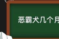 恶霸犬几个月剪耳朵最合适 恶霸犬几个月开始猛长