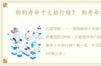 狗狗寿命十大排行榜？ 狗寿命排名