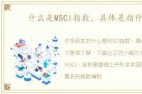 什么是MSCI指数，具体是指什么