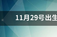 请高人算命女农历1982年11月29出生？ 11月29日出生女命