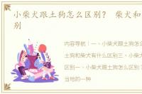 小柴犬跟土狗怎么区别？ 柴犬和土狗的区别
