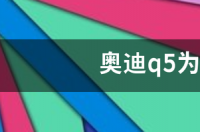 2020款奥迪q5l什么时候停产？ 奥迪q5为什么停售