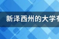 新泽西大学世界排名？ 美国新泽西州的大学排名