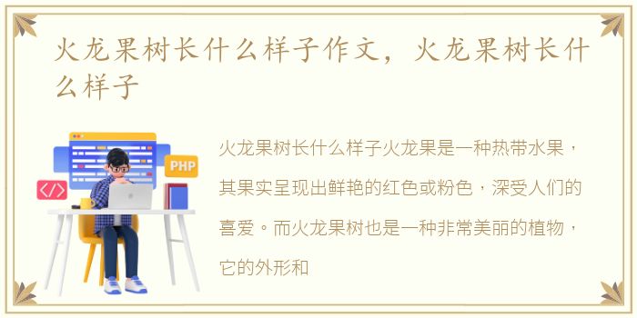 火龙果树长什么样子作文，火龙果树长什么样子