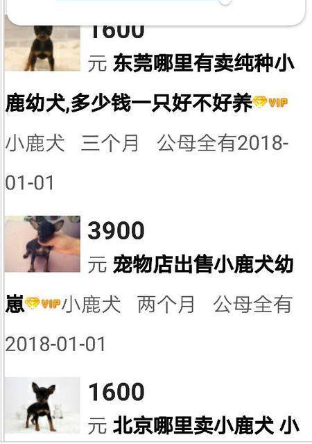 t011e1977d1a015bd47.jpg