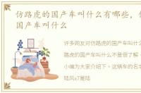 仿路虎的国产车叫什么有哪些，仿路虎的国产车叫什么