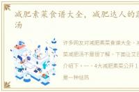 减肥素菜食谱大全，减肥达人的蔬菜减肥汤
