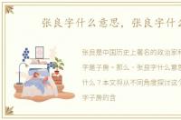 张良字什么意思，张良字什么