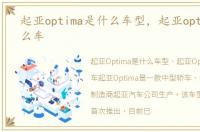 起亚optima是什么车型，起亚optima是什么车