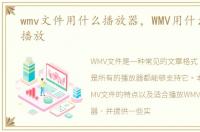 wmv文件用什么播放器，WMV用什么播放器播放