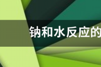 氧化钠与水反应实验现象？ 钠与水反应实验