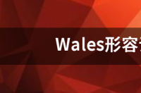 Wales形容词是什么？ wales