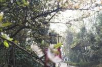 哪位朋友知道从长沙到三峡恩施自驾三日游怎么走？ 长沙旅游团报名三日游