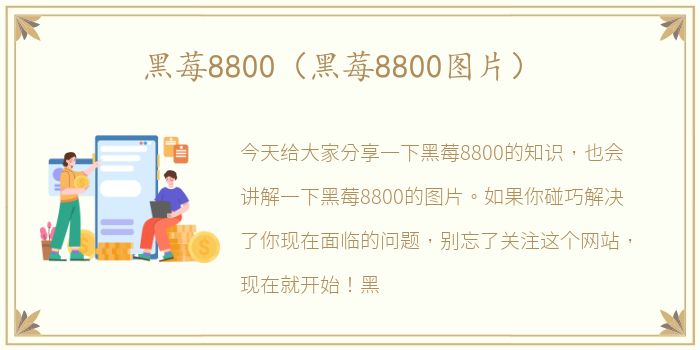 黑莓8800（黑莓8800图片）