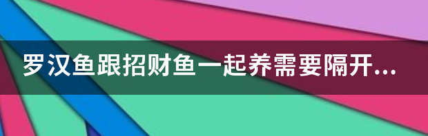 t0128f760a665651502.png