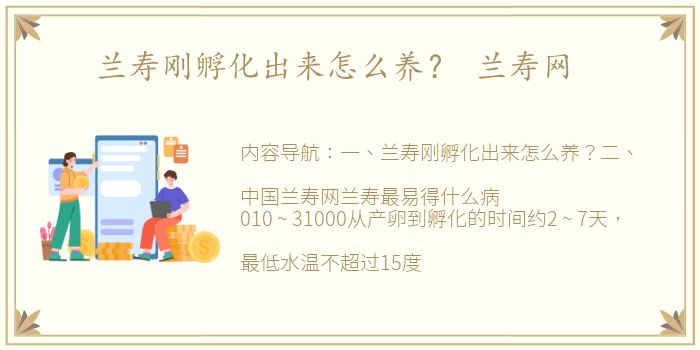 兰寿刚孵化出来怎么养？ 兰寿网