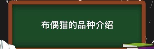 t01a64ecece2644d17c.jpg
