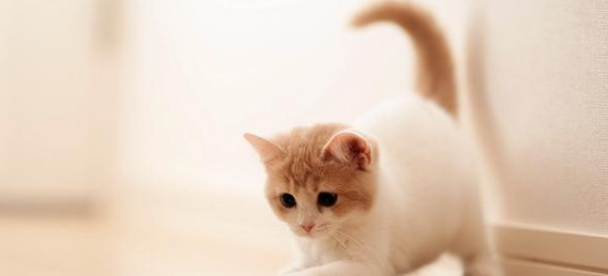 t018d607f005959af48.png