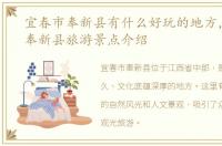宜春市奉新县有什么好玩的地方，宜春市奉新县旅游景点介绍