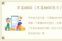 黑莓8800（黑莓8800图片）
