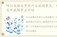 四川省雅安市有什么旅游景点，四川省雅安市旅游景点介绍