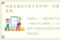 柯基犬尾巴不弄了去行吗？ 柯基犬需要断尾吗