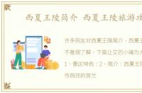 西夏王陵简介 西夏王陵旅游攻略