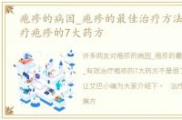 疱疹的病因_疱疹的最佳治疗方法_有效治疗疱疹的7大药方