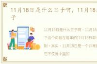 11月18日是什么日子啊，11月18是什么日子