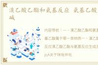 溴乙酸乙酯和氨基反应 氨基乙酸是酸还是碱