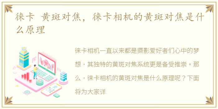 徕卡 黄斑对焦，徕卡相机的黄斑对焦是什么原理