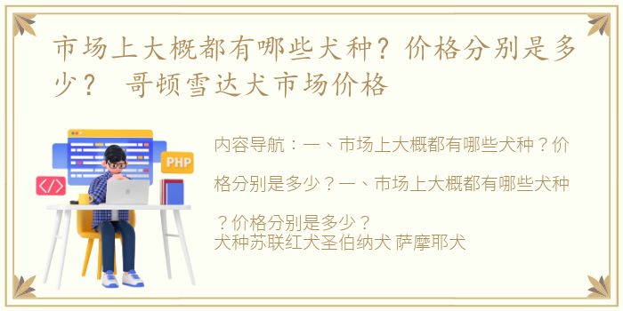 市场上大概都有哪些犬种？价格分别是多少？ 哥顿雪达犬市场价格