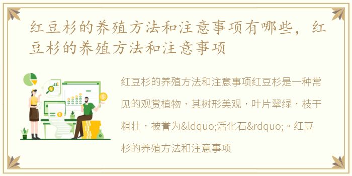 红豆杉的养殖方法和注意事项有哪些，红豆杉的养殖方法和注意事项