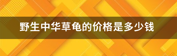 t0148aedced6af948e6.png