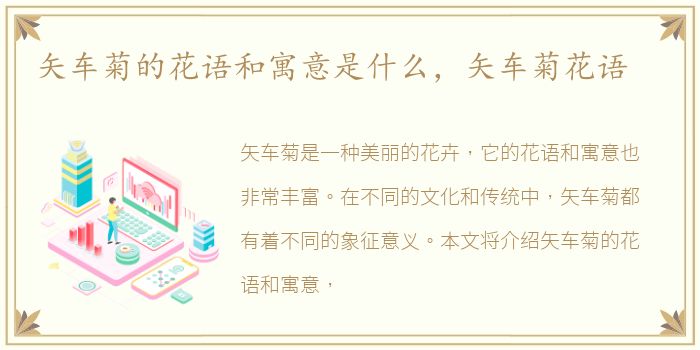 矢车菊的花语和寓意是什么，矢车菊花语