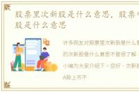 股票里次新股是什么意思，股票中的次新股是什么意思