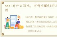 ndsi有什么游戏，有哪些NDSI游戏,给几张图