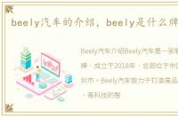 beely汽车的介绍，beely是什么牌子的车