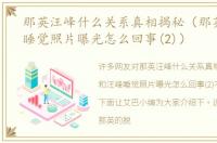 那英汪峰什么关系真相揭秘（那英和汪峰睡觉照片曝光怎么回事(2)）