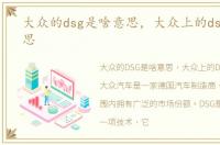 大众的dsg是啥意思，大众上的dsg什么意思