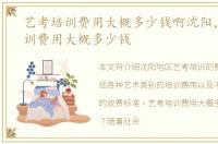 艺考培训费用大概多少钱啊沈阳，艺考培训费用大概多少钱