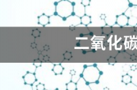 二氧化碳变换原理？ 二氧化碳中毒原理