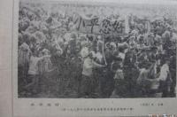 1985年10月23号是什么星座？ 1985年3月23日是什么星座